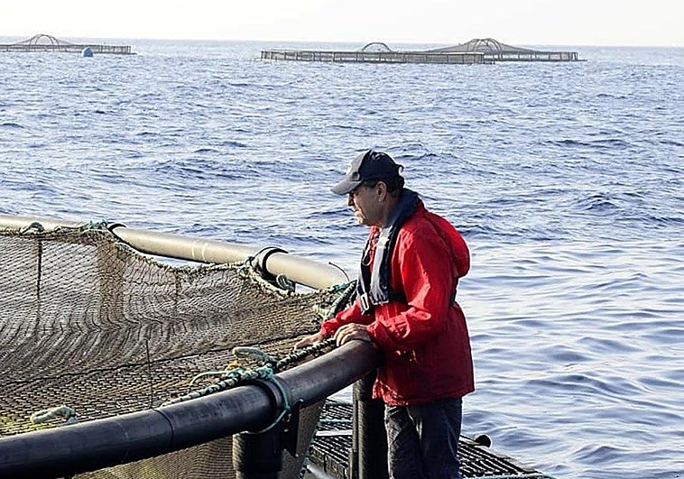 Un vertido en Canarias causa 15 millones en pérdidas a la cántabra Aquanaria